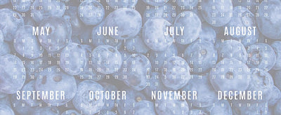2017 Printable Calendar - Free Download!
