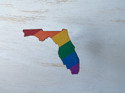 Florida Pride Ornament Magnet