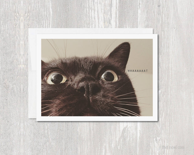 Greeting Card - Whaaaat