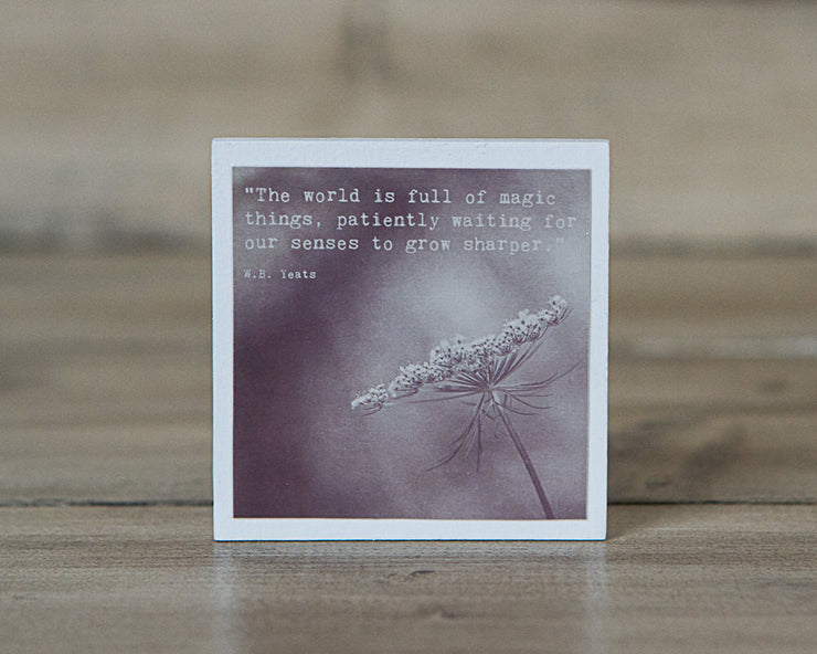 Magnet | The World is Full of Magic Things